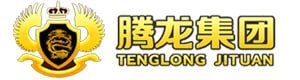 腾龙娱乐Logo